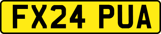 FX24PUA