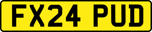 FX24PUD