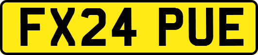 FX24PUE