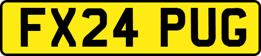 FX24PUG