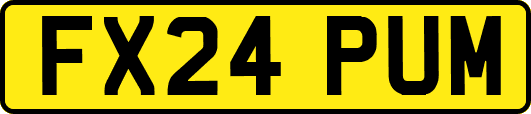 FX24PUM