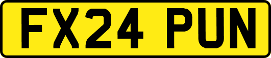 FX24PUN