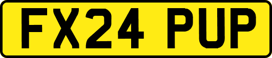 FX24PUP