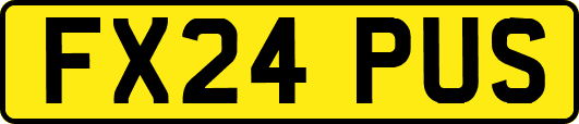 FX24PUS
