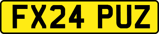 FX24PUZ