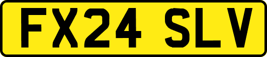 FX24SLV