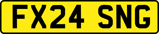 FX24SNG