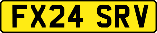 FX24SRV