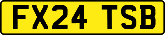 FX24TSB
