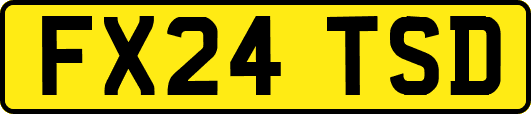 FX24TSD