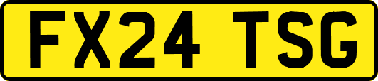 FX24TSG