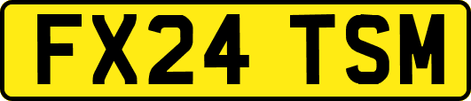 FX24TSM