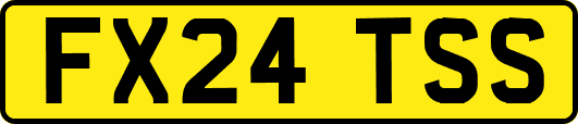 FX24TSS