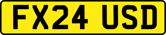 FX24USD