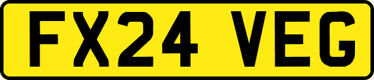 FX24VEG