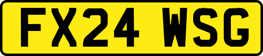FX24WSG