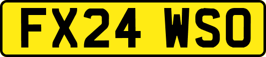 FX24WSO