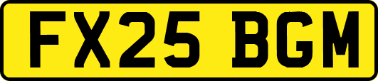 FX25BGM