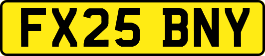 FX25BNY