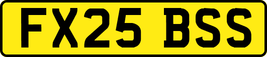 FX25BSS