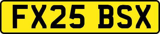FX25BSX