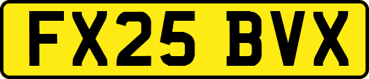 FX25BVX