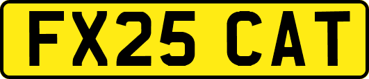 FX25CAT