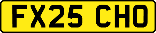 FX25CHO
