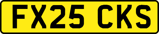 FX25CKS