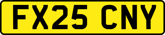 FX25CNY