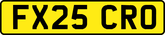FX25CRO