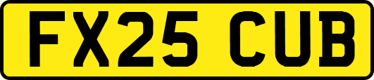 FX25CUB