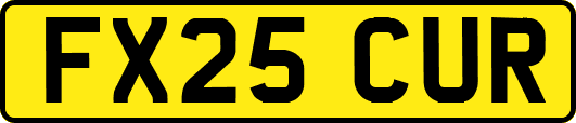 FX25CUR