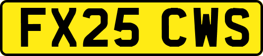 FX25CWS