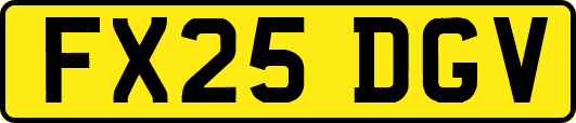 FX25DGV
