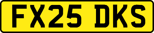 FX25DKS