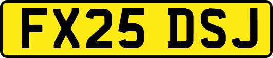 FX25DSJ