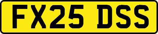 FX25DSS