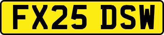 FX25DSW