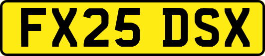 FX25DSX