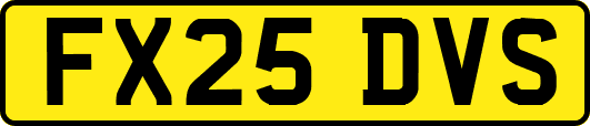 FX25DVS