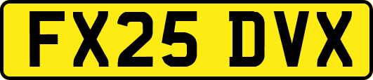 FX25DVX
