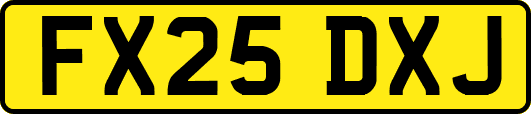 FX25DXJ