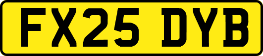 FX25DYB