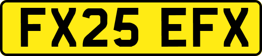 FX25EFX