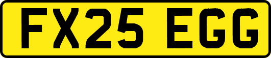 FX25EGG