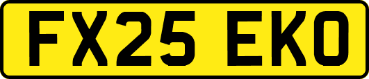 FX25EKO
