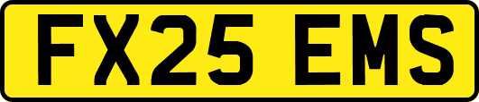 FX25EMS