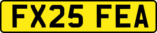 FX25FEA
