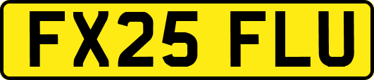 FX25FLU